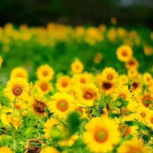 آهنگ جدید تو بخوای میسازیم از اول میسازیم از صفر